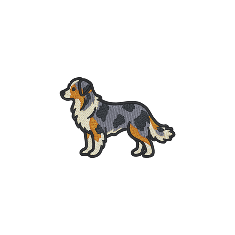 Australian Shepherd