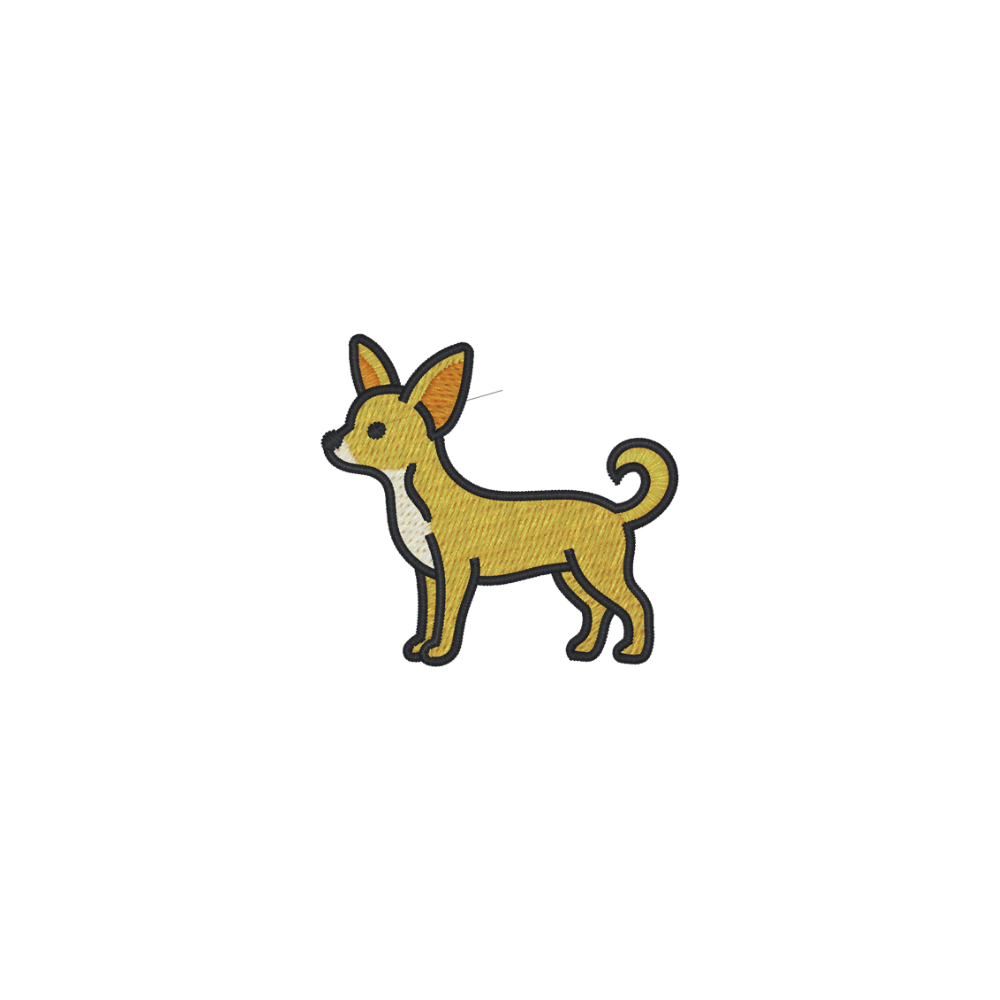 Chihuahua