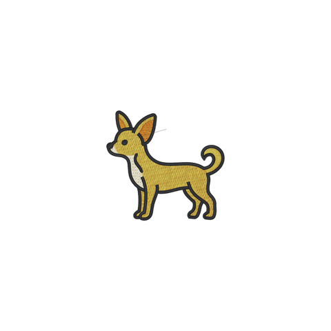 Chihuahua