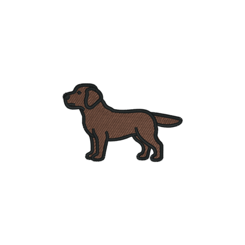 Labrador