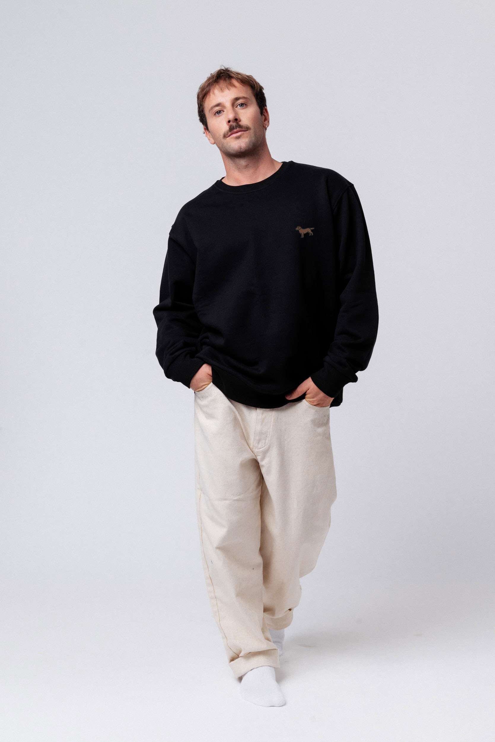 Labrador Braun Pullover schwarz